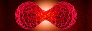 Everything to Know about Cancer and Future of Cancer Care