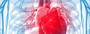 Cardiovascular Disease