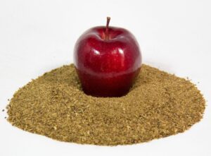 Apple Fiber
