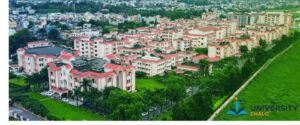 The University Journey: More Than Just a Degree