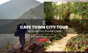 Cape Town City Tour