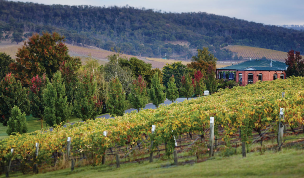  Best Wineries in Melbourne, Australia