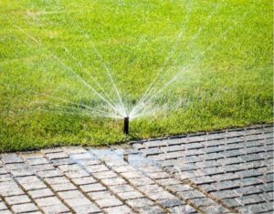 Water