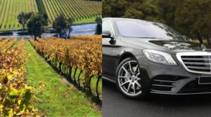 Discover the Top 5 Best Wineries in Melbourne, Australia – and Why You Need the Best Chauffeur Service in Melbourne to Explore Them