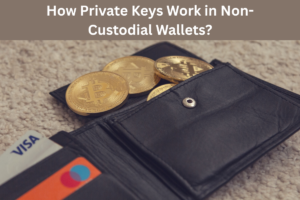non custodial wallet