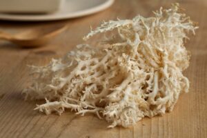 Sea moss