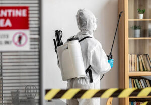 Professional pest control in dumfries