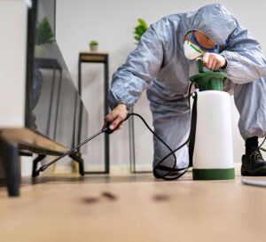 Pest control technician in Glasgow removing wasp nest safely from residential roof.