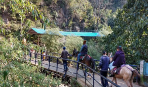 Legends of Lord Shiva at Shivkhori: Exploring the Mythological Stories