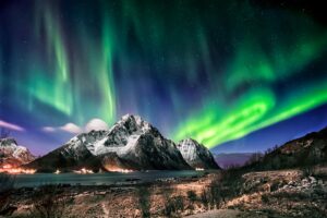 Wildlife in Finland: Reindeer, Huskies, and Beyond