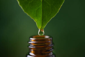 Alternative Medicines in Reducing Inflammation