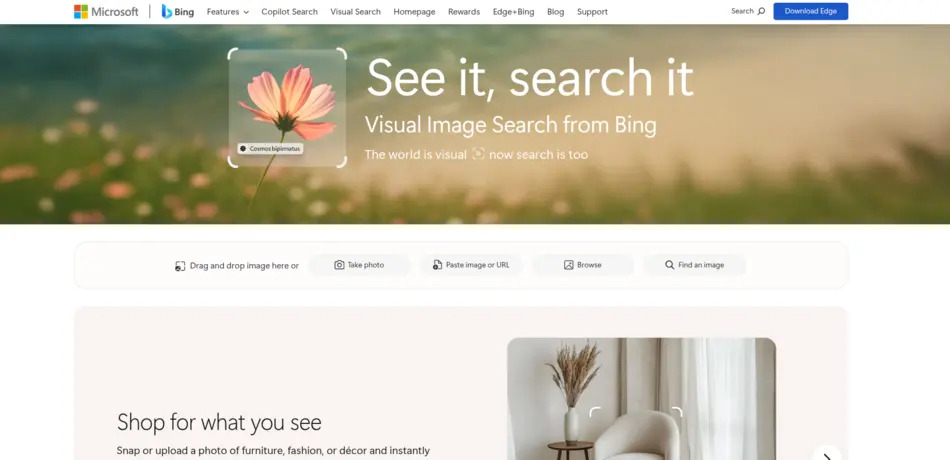 Bing Visual Search