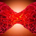 Everything to Know about Cancer and Future of Cancer Care